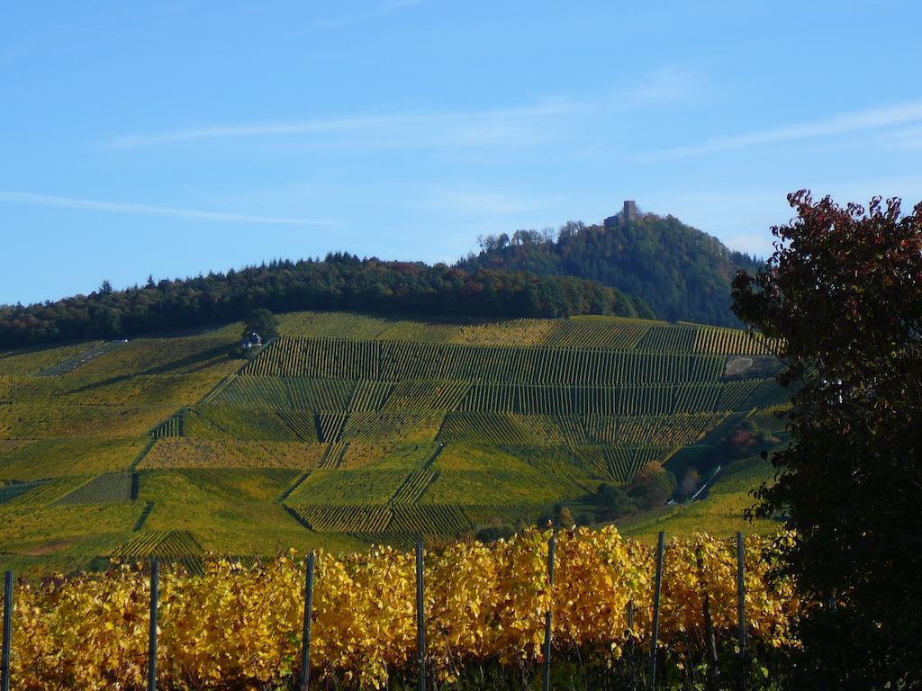 Winzerhof Unter Der Yburg * Baden-Baden